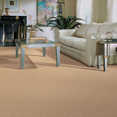 Carpet Ideas  Living Rooms on Living Room Flooring Ideas And Choices