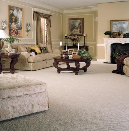 Living Room Flooring on Living Room Flooring Idea Summer Rain By Sutton Carpet