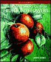 Decorative Painter's Guide to Fruits and Flowers