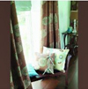 Click here for larger photo of Blinds, Curtains & Cushions: Design And Make Stylish Treatments for Your Home