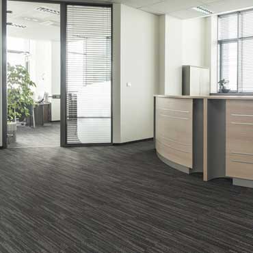 Para-Chem Carpet Adhesives