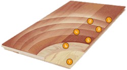Barlinek Wood Flooring - Wood Flooring
