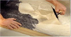 CHAPCO® Adhesives