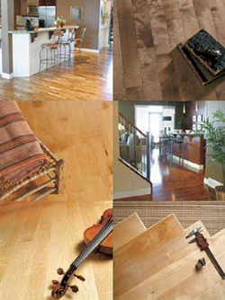 Eterna Hardwood Flooring