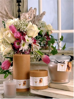Kathy Ireland™ Home by Hanna's