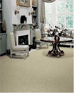 Hollytex Carpeting