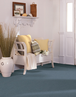 Liz Claiborne Carpeting - Carpeting