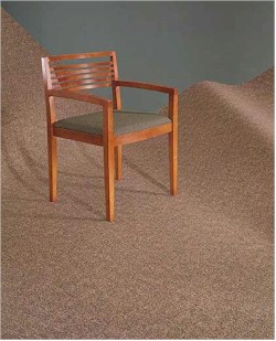 Mannington Commercial Carpet