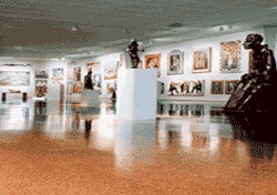 Natural CORK® Flooring