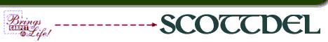 Scottdel Cushion