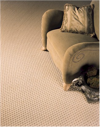 Wunda Weve Carpet