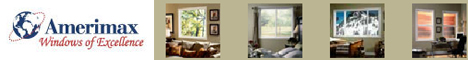 Amerimax Windows