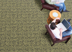 Clayton Miller Hospitality Carpet - Carpeting