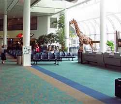 Lees® Commercial Carpet