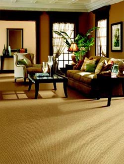 Magic Fresh Carpet