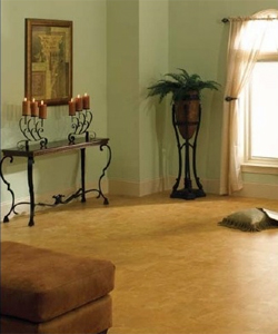 Star Flooring Design Boulder Co