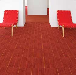 Tandus Carpet