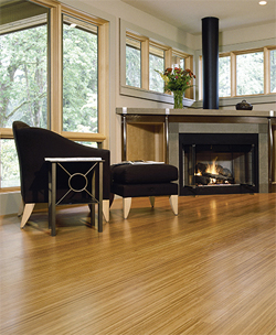 Teragren Bamboo Flooring