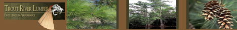 Trout River Wood Flooring