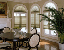Vista Shutters