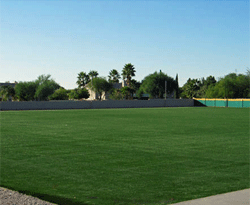 XGRASS - Garden and Patio
