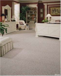 Anso® Nylon Carpet