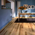 Hard Maple Mega Studio