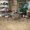 Click here for larger photo and more infomation about Shaw Laminate - Natural Accents