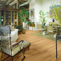 Click here for larger photo and more infomation about Shaw Laminate - Natural Treasures
