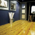 Click here for larger photo and more infomation about Australian Cypress 