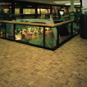 Click here for larger photo and more infomation about HartWood Parquet-Camden