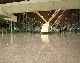 Click here for larger photo and more infomation about Terrazzo Floors