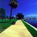 Click here for larger photo and more infomation about Univ of South Florida The Poynter Institute